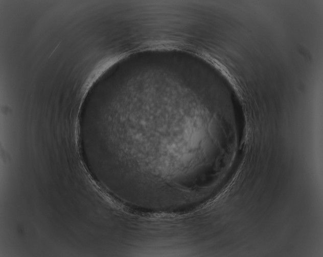 X0000090701277200708031406