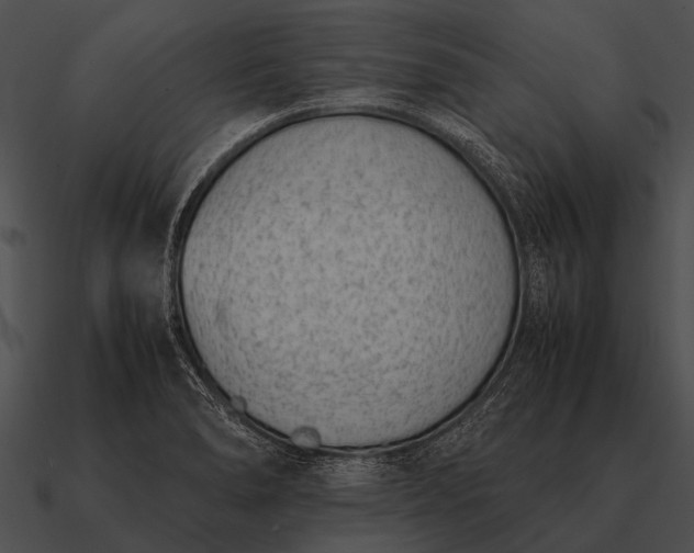 X0000090701278200708031406