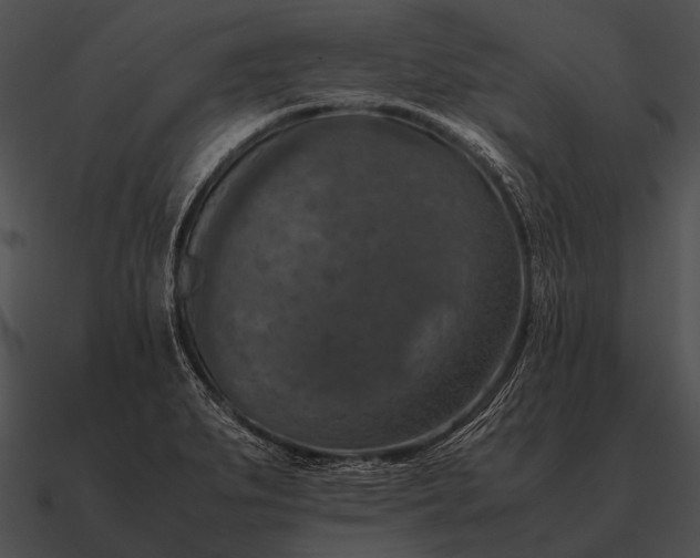 X0000090701279200708031406