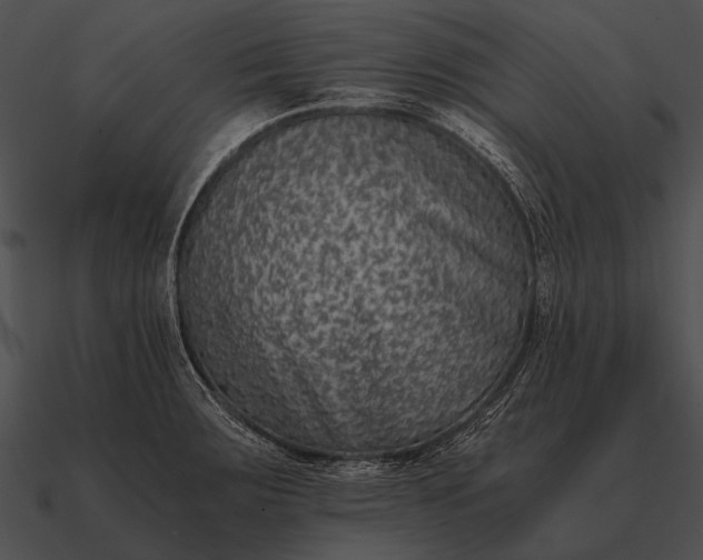 X0000090701283200708031406