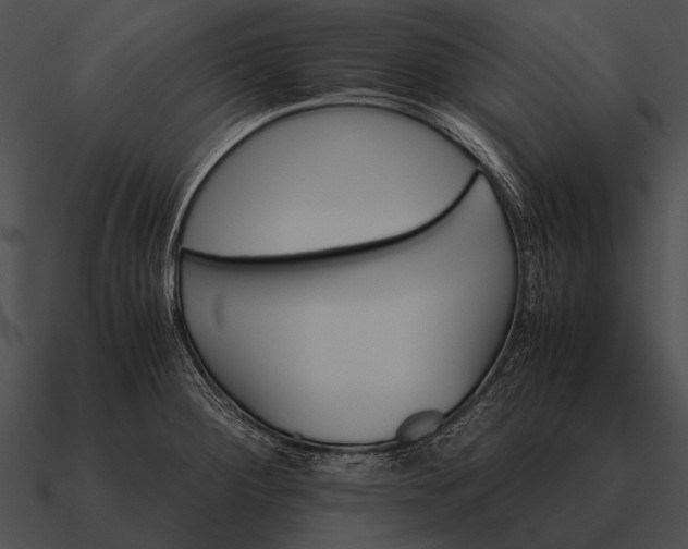 X0000090701284200708031406