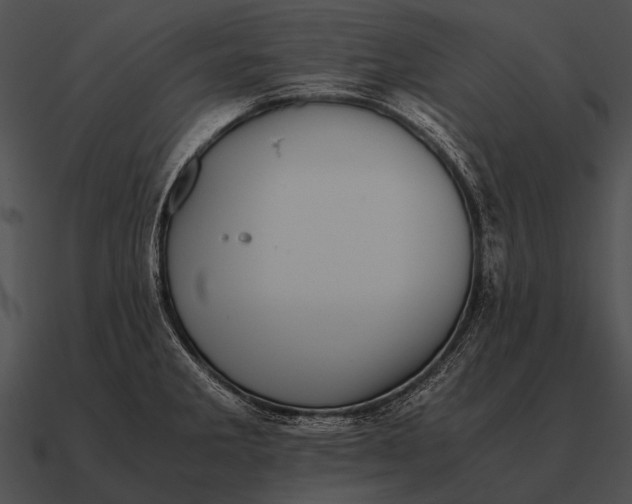 X0000090701285200708031406