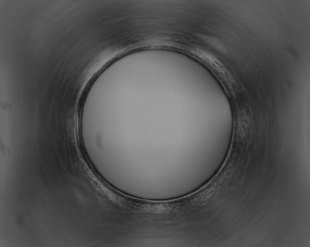 X0000090701286200708031406