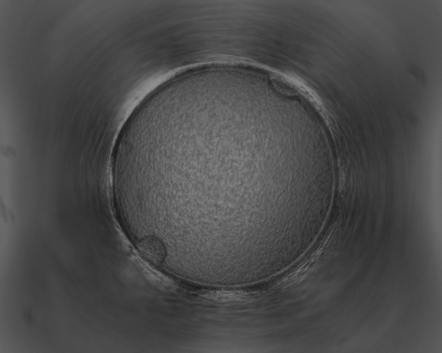 X0000090701287200708031406