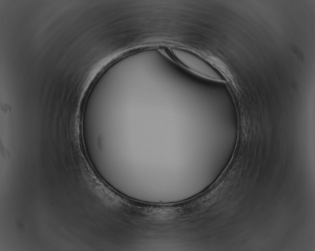 X0000090701288200708031406