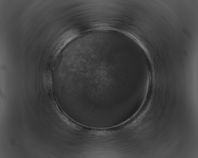 X0000090701289200708031406