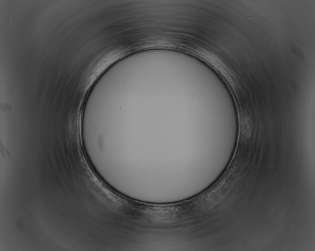 X0000090701290200708031406