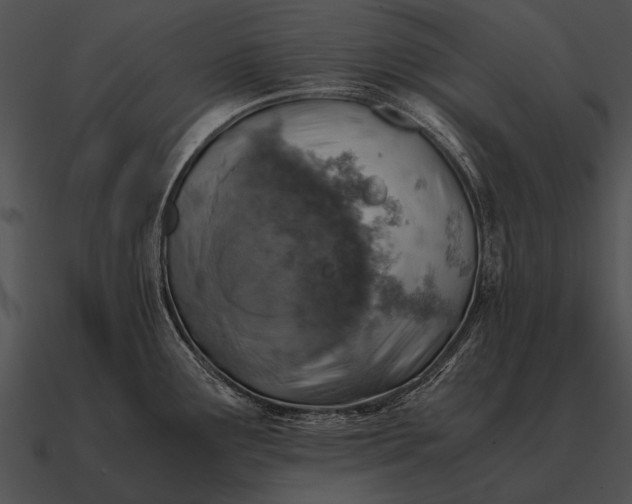 X0000090701291200708031406