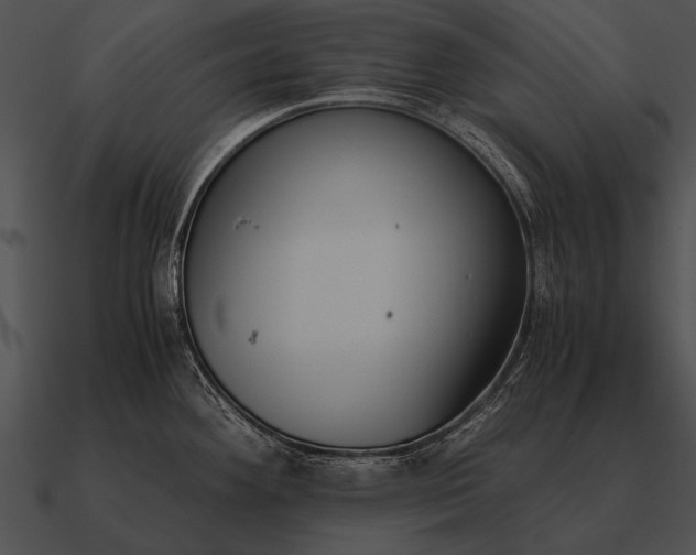 X0000090701292200708031406