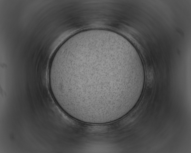 X0000090701294200708031405