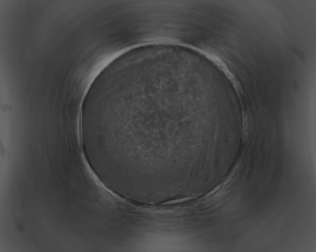 X0000090701295200708031405