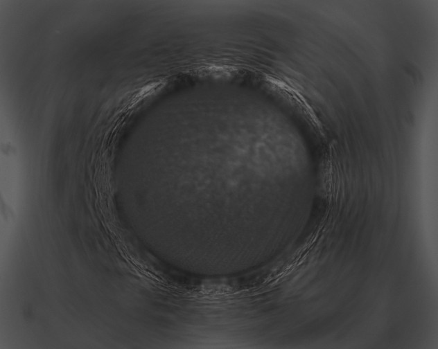 X0000090701297200708031405