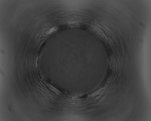 X0000090701298200708031405