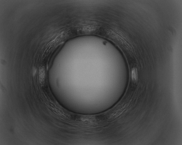 X0000090701299200708031405