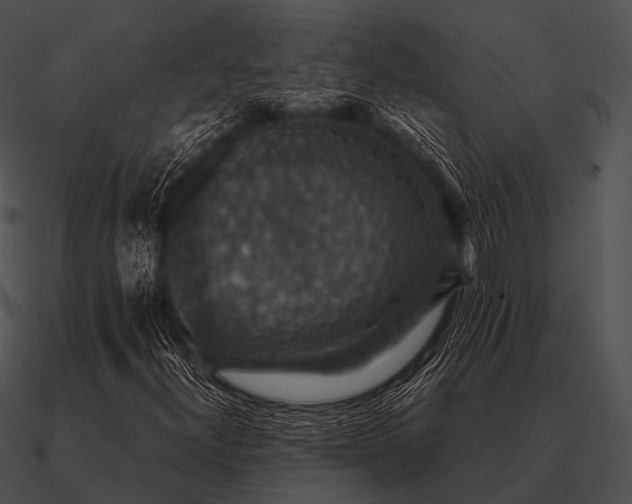 X0000090701300200708031405