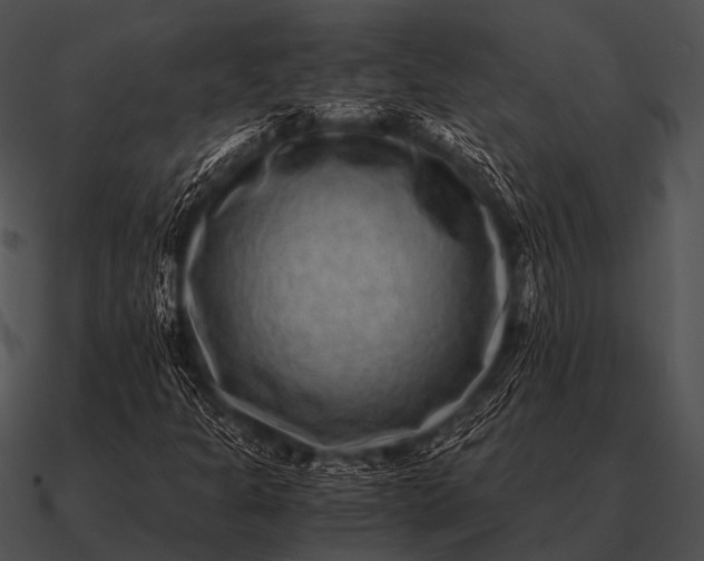 X0000090701301200708031405