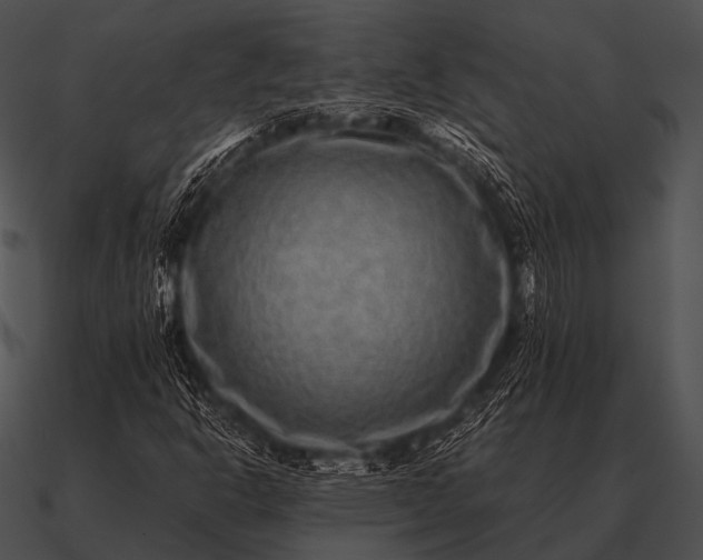 X0000090701302200708031405