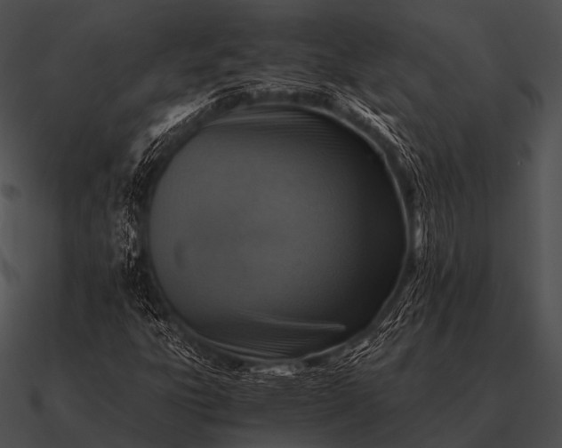 X0000090701303200708031405