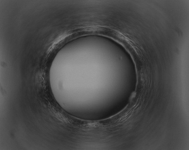 X0000090701304200708031405