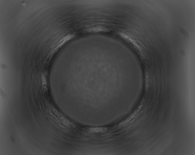 X0000090701305200708031405