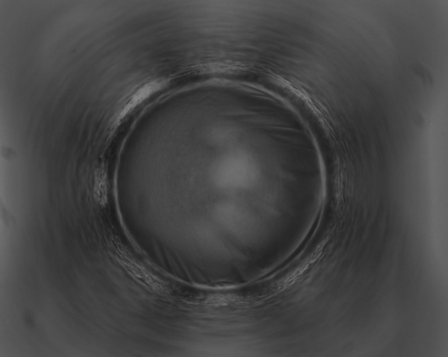 X0000090701306200708031405