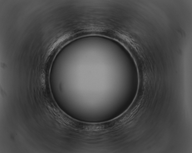 X0000090701307200708031405