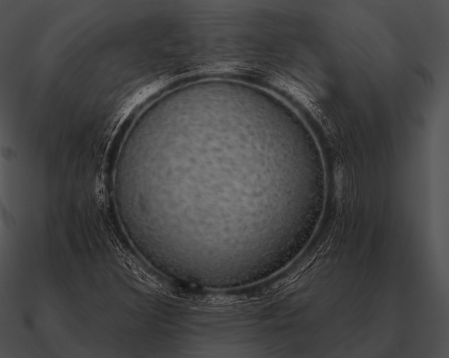 X0000090701308200708031405