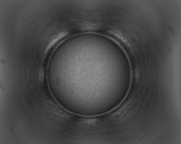 X0000090701309200708031405