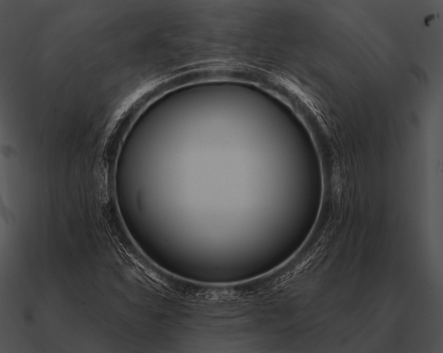 X0000090701310200708031405