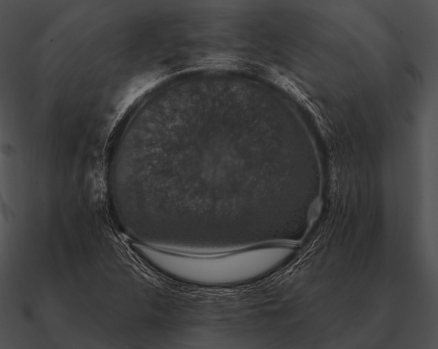 X0000090701312200708031405