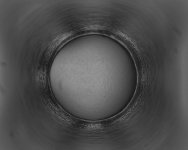 X0000090701313200708031405