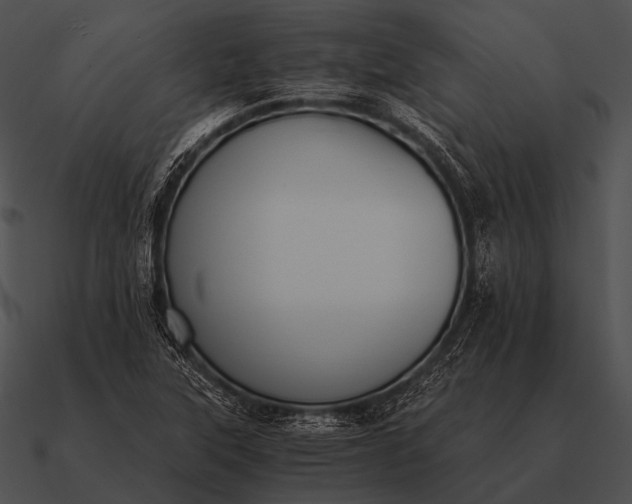 X0000090701315200708031405