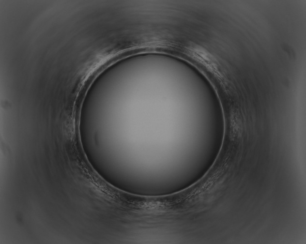 X0000090701316200708031405