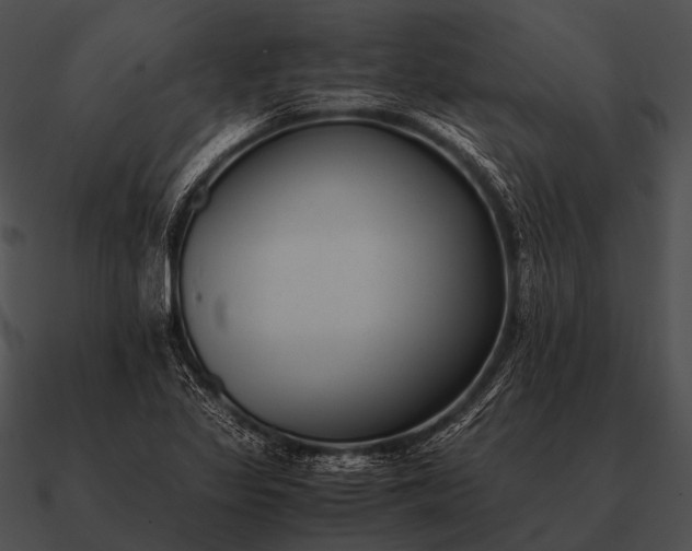 X0000090701317200708031405