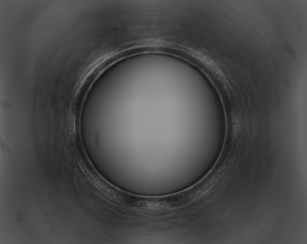 X0000090701318200708031405