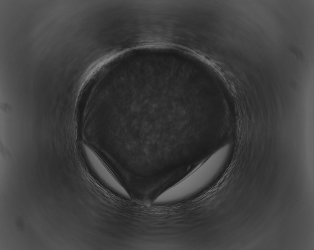 X0000090701319200708031405