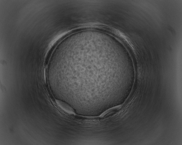 X0000090701320200708031405