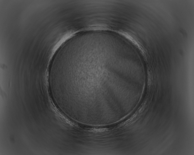 X0000090701325200708031405