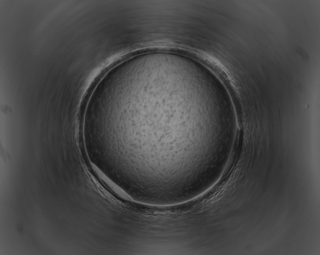 X0000090701326200708031405