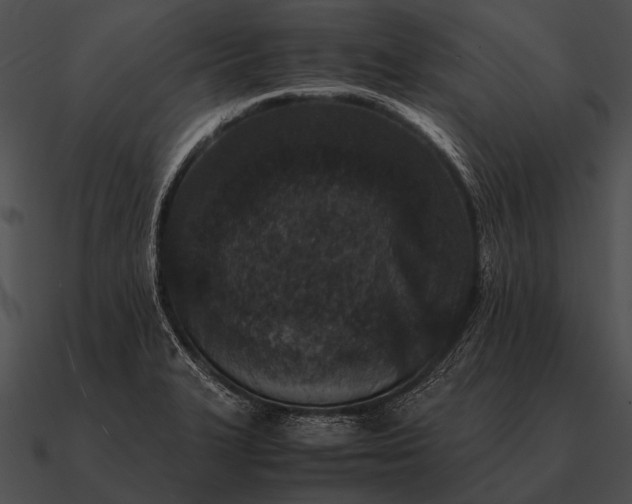 X0000090701327200708031405