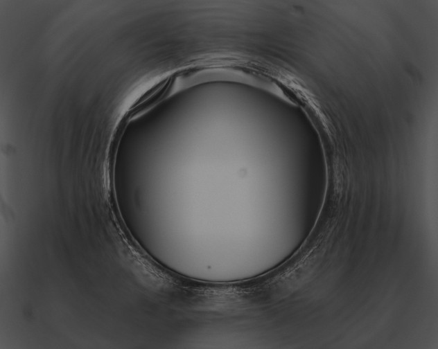 X0000090701328200708031405