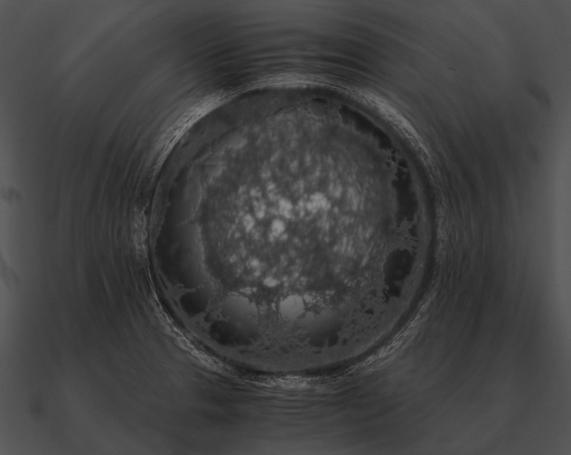 X0000090701329200708031405