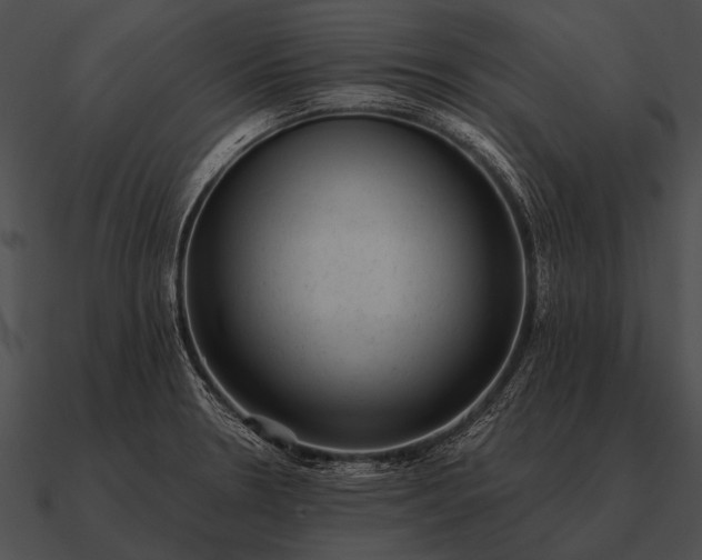 X0000090701330200708031405