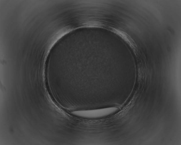 X0000090701331200708031405