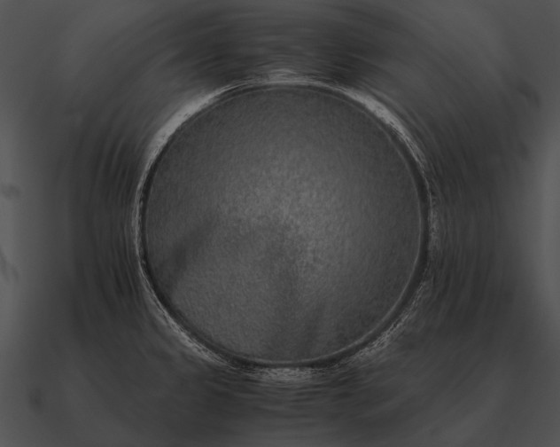 X0000090701333200708031405