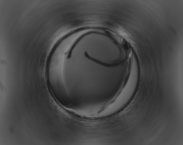 X0000090701334200708031405