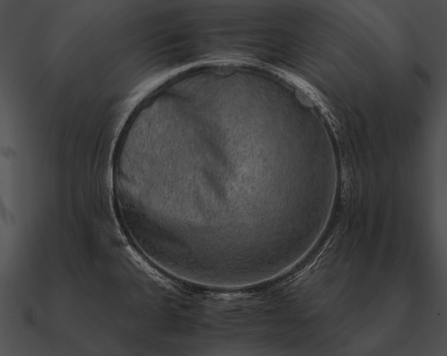 X0000090701335200708031405