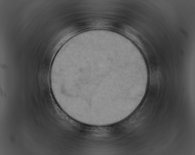 X0000090701338200708031405