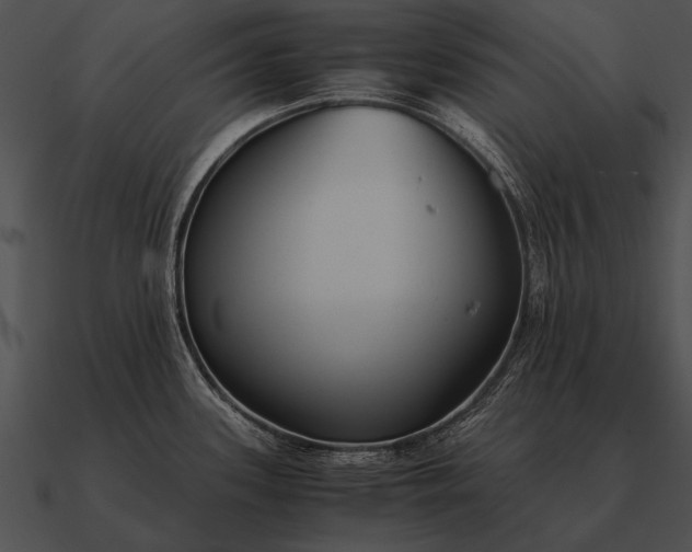 X0000090701339200708031405