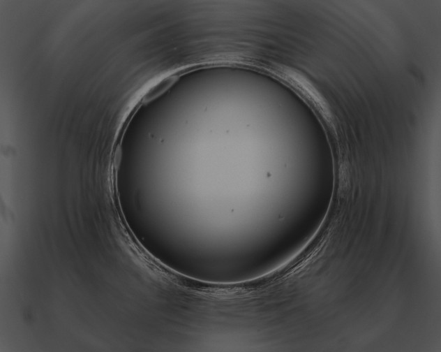 X0000090701340200708031405